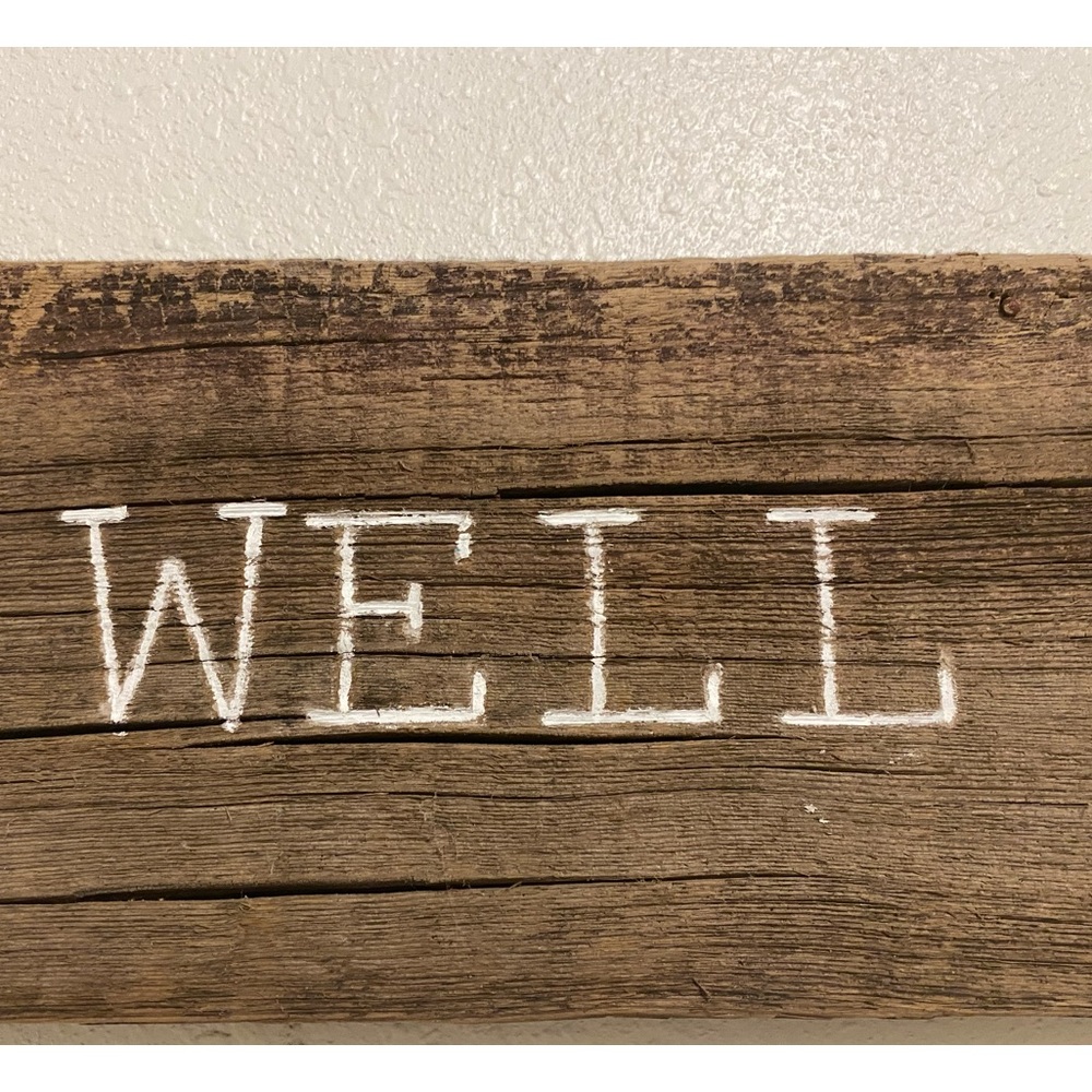 Wooden Sign with saying, “Well Shit.” Funny Sign - a great conversational piece - Picture 2 of 4